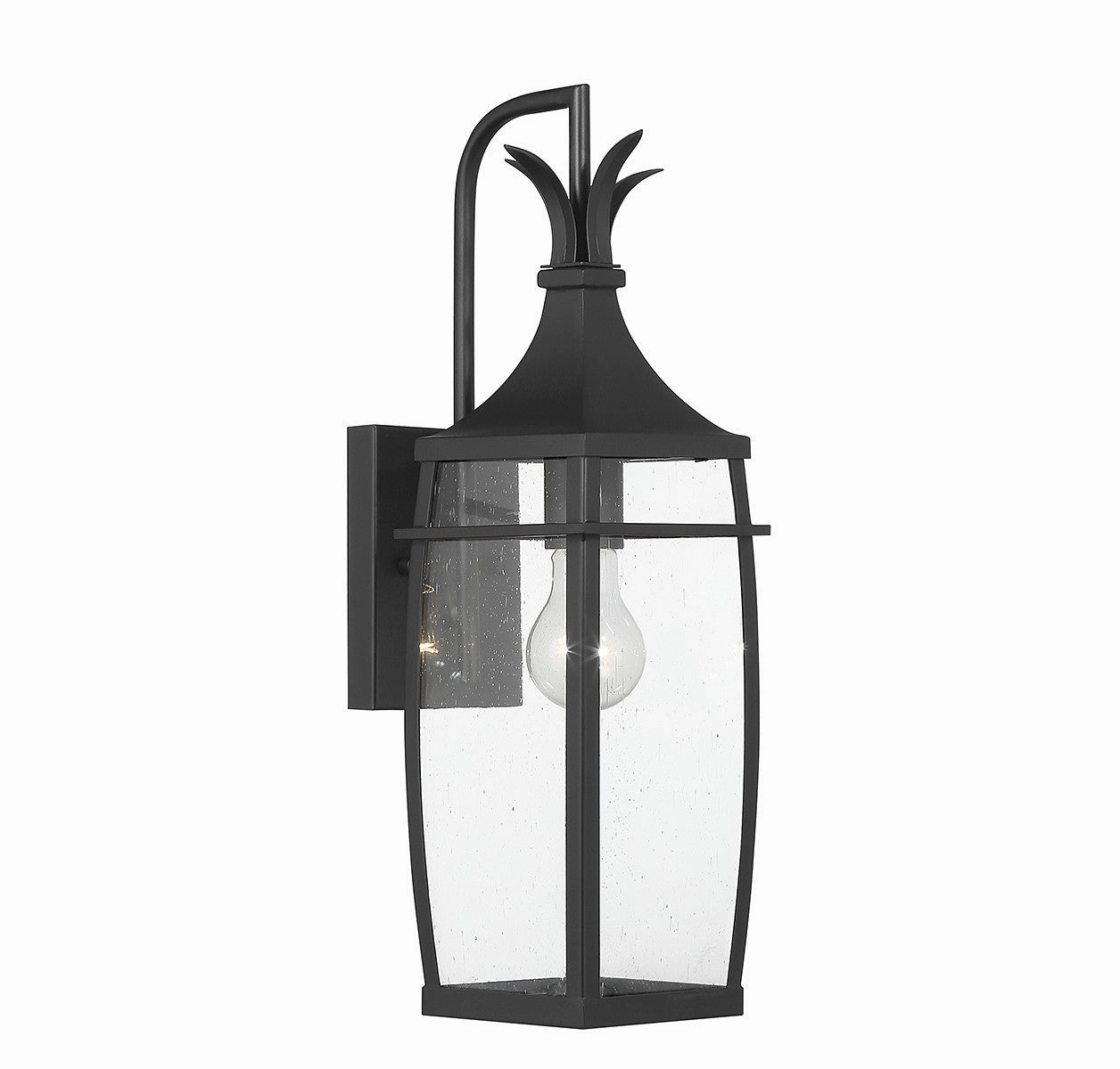 Montpelier One Light Outdoor Wall Lantern Matte Black