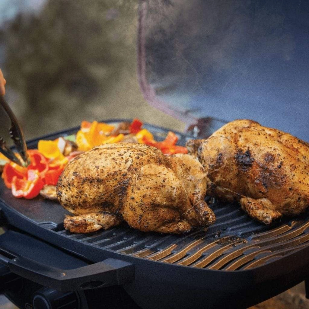 Napoleon TravelQ 285 with Griddle Portable Liquid Propane Gas Grill TQ285-RD-1-A