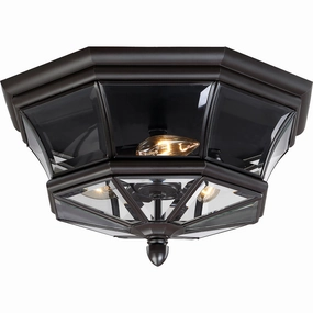 Newbury Outdoor Ceiling LightWeatherproof outdoor lighting