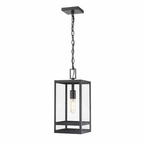 Nuri 1-Light 16" Outdoor PendantWeatherproof outdoor lighting