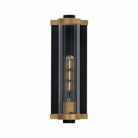 Opulent 1-Light Outdoor Wall SconceWeatherproof outdoor lighting