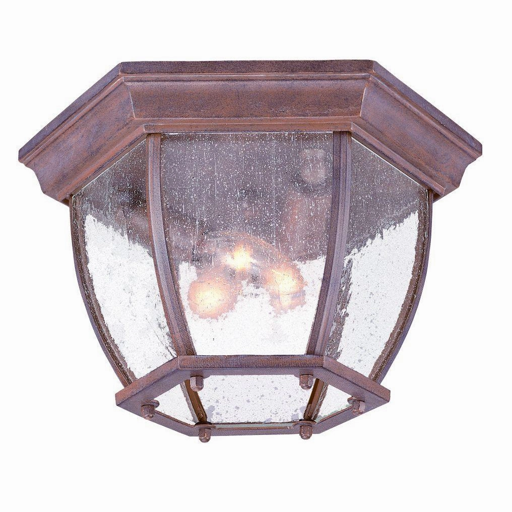 Outdoor Ceiling Light
