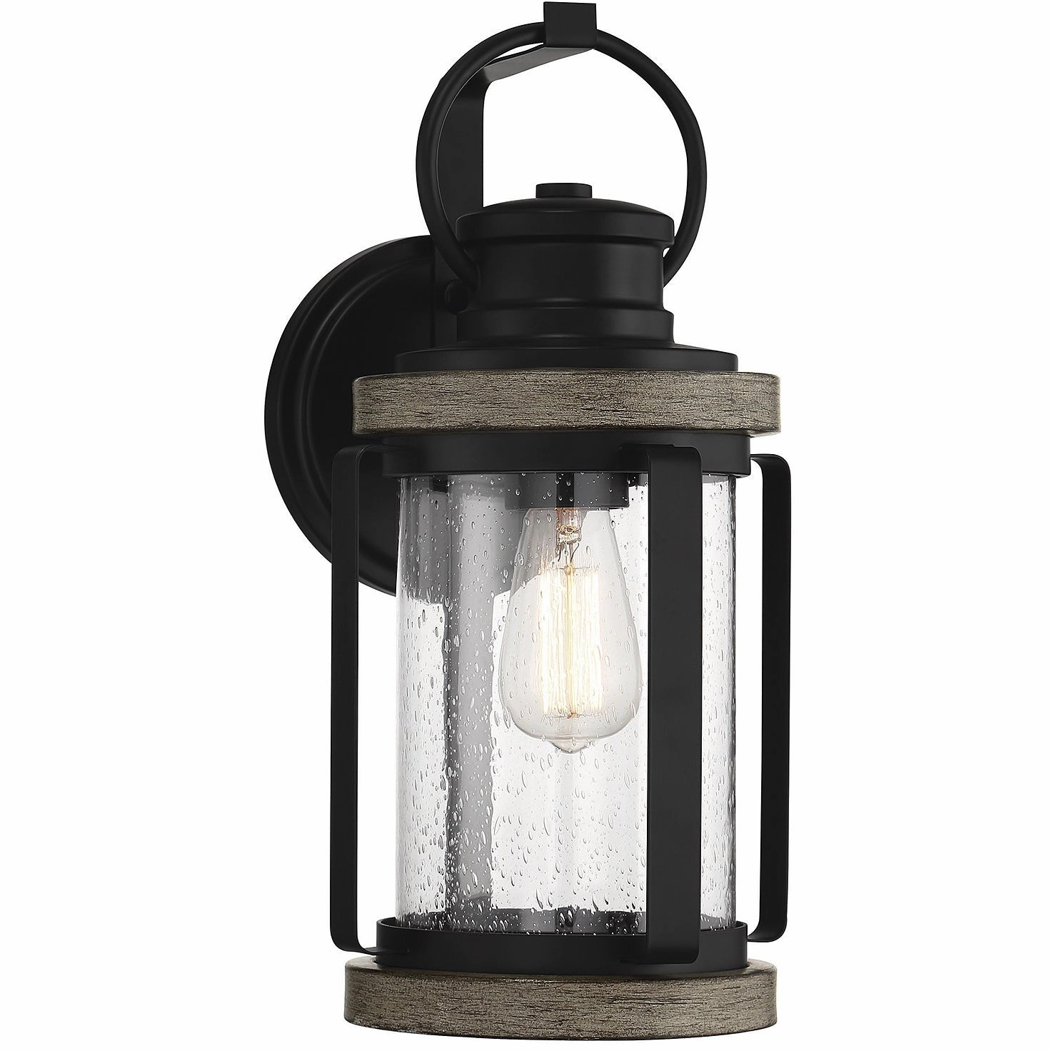 Parker 1-Light Outdoor Wall Lantern