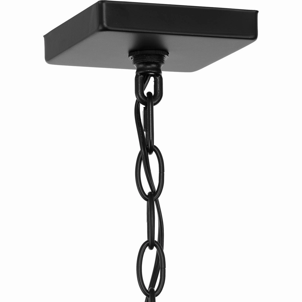Parrish 1-Light Outdoor Pendant