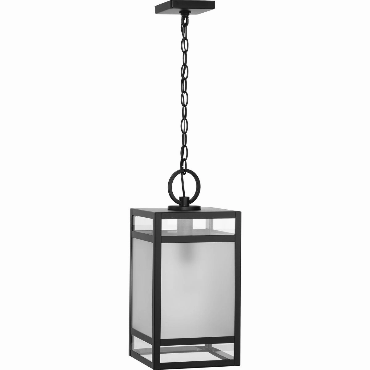 Parrish 1-Light Outdoor Pendant