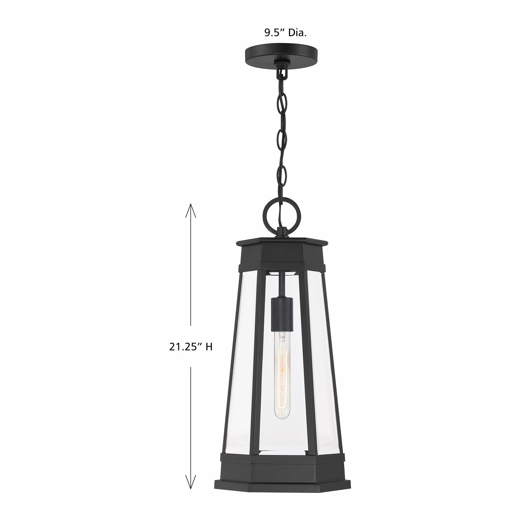 Payne 1-Light Outdoor Hanging Lantern