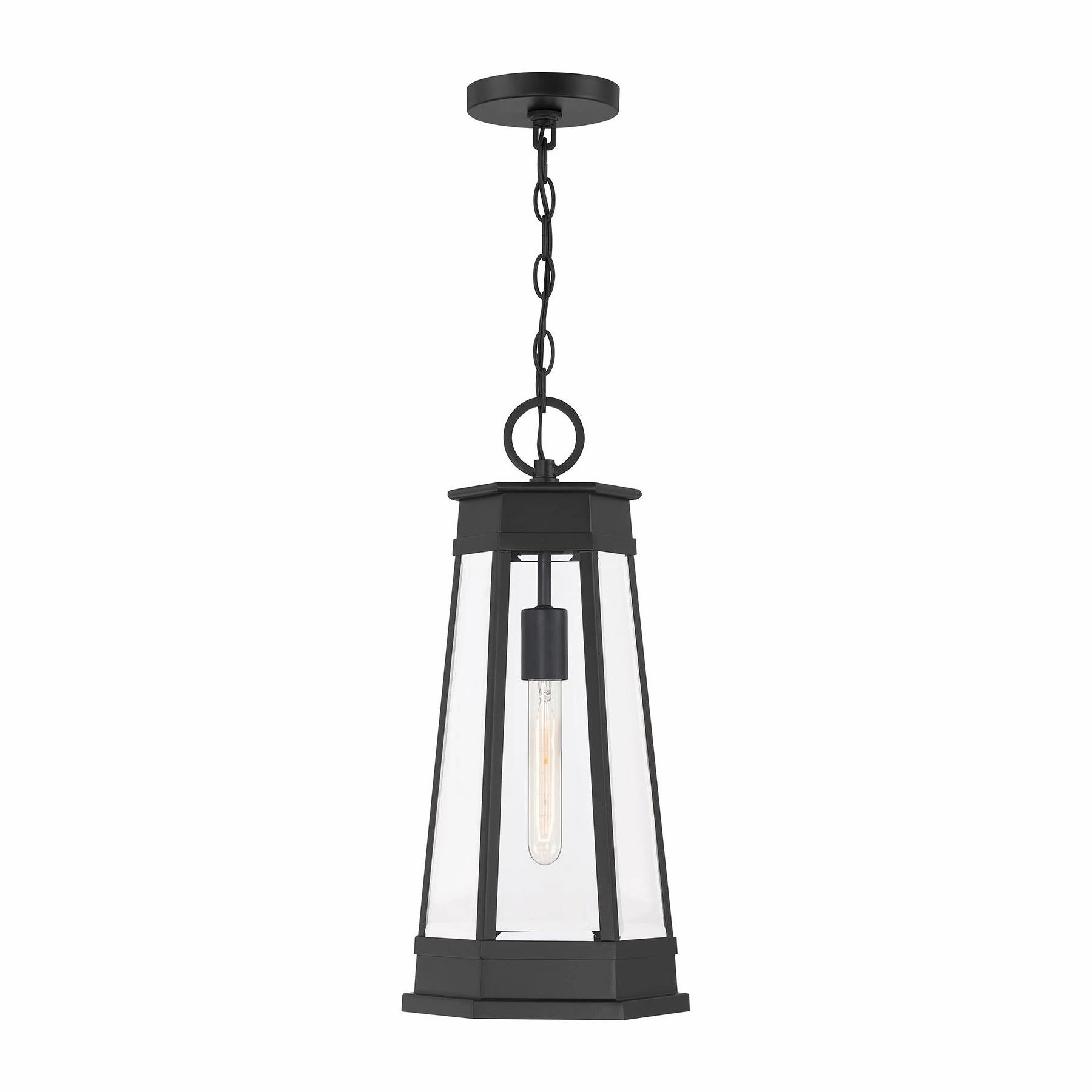 Payne 1-Light Outdoor Hanging LanternWeatherproof outdoor lighting