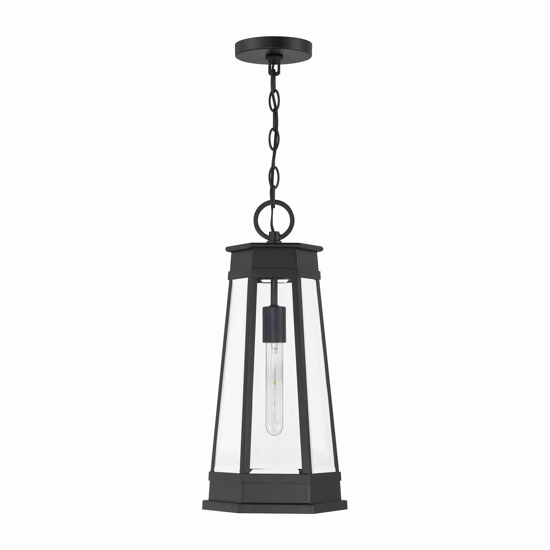 Payne 1-Light Outdoor Hanging Lantern