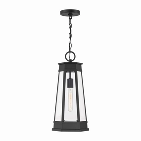 Payne 1-Light Outdoor Hanging LanternWeatherproof outdoor lighting