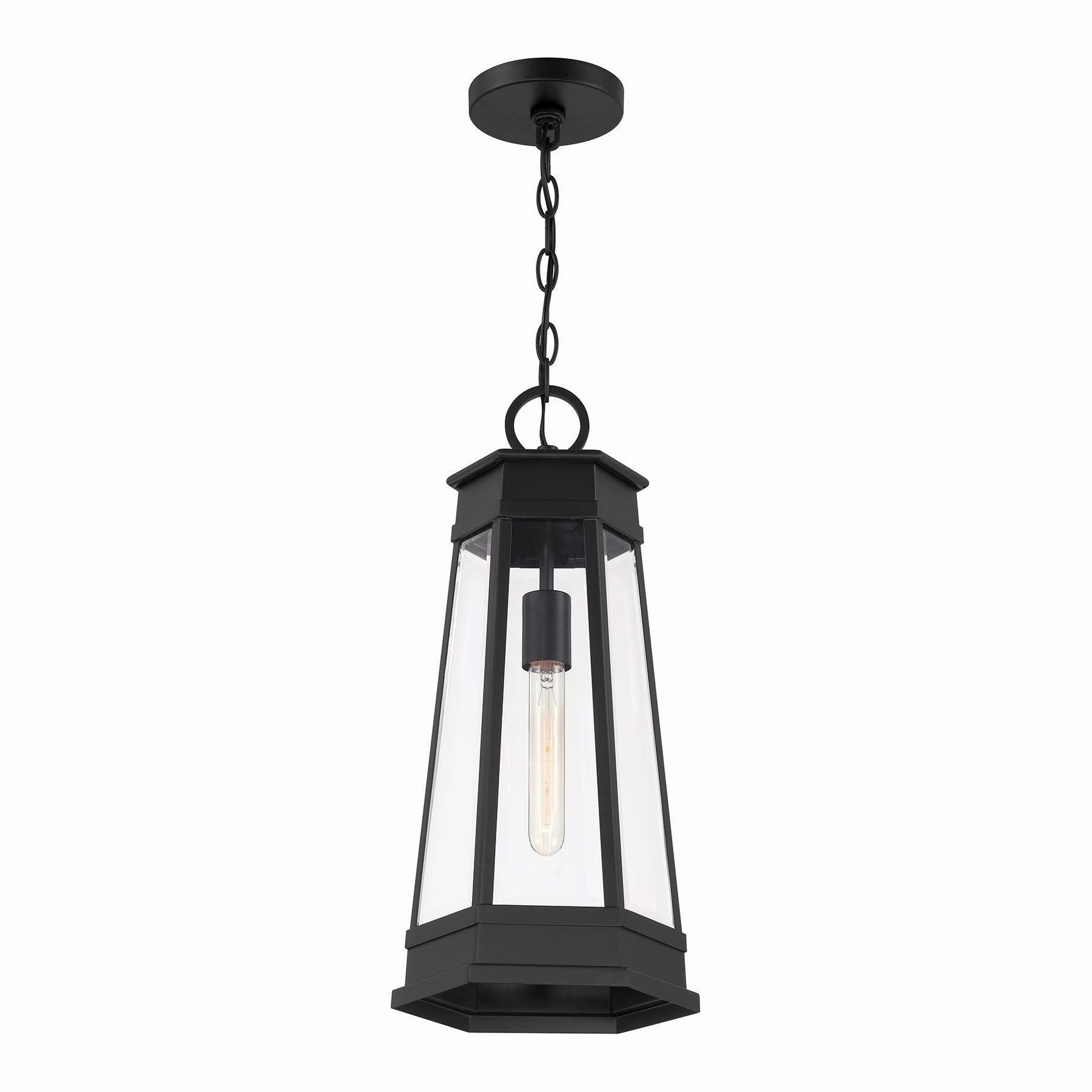 Payne 1-Light Outdoor Hanging Lantern