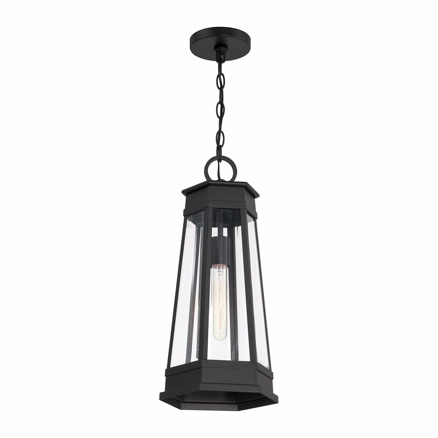 Payne 1-Light Outdoor Hanging Lantern