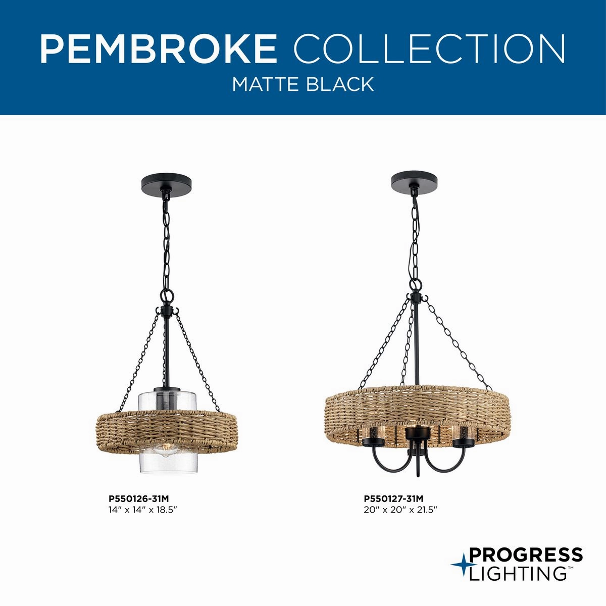 Pembroke 1-Light Outdoor Pendant
