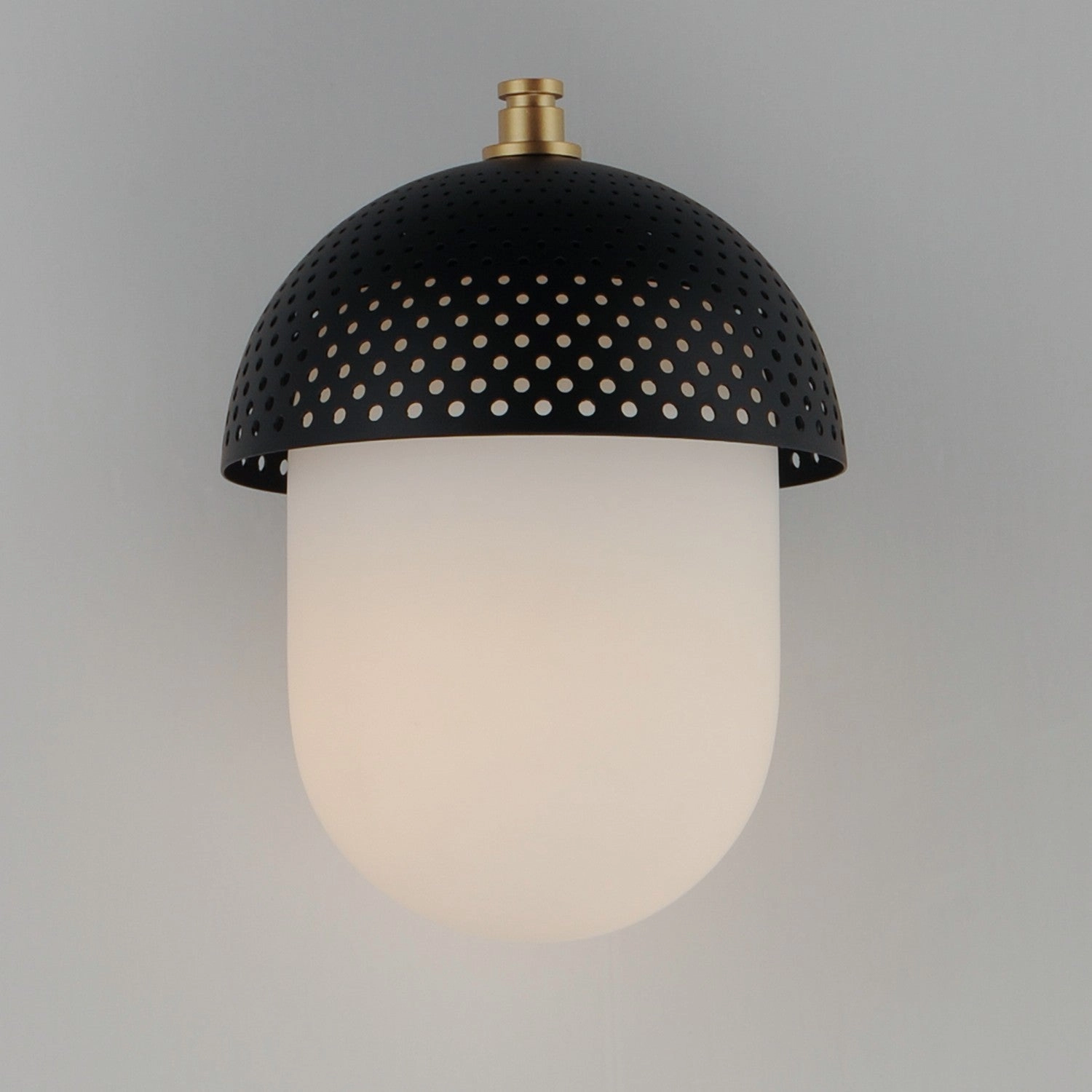 Perf Outdoor One Light Outdoor Wall Sconce Black / Gold