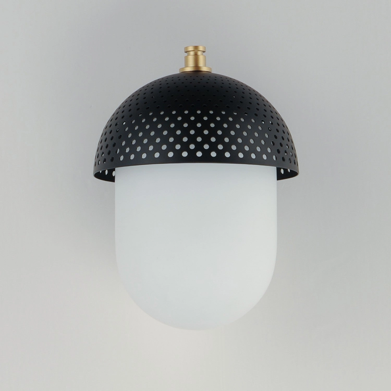 Perf Outdoor One Light Outdoor Wall Sconce Black / Gold