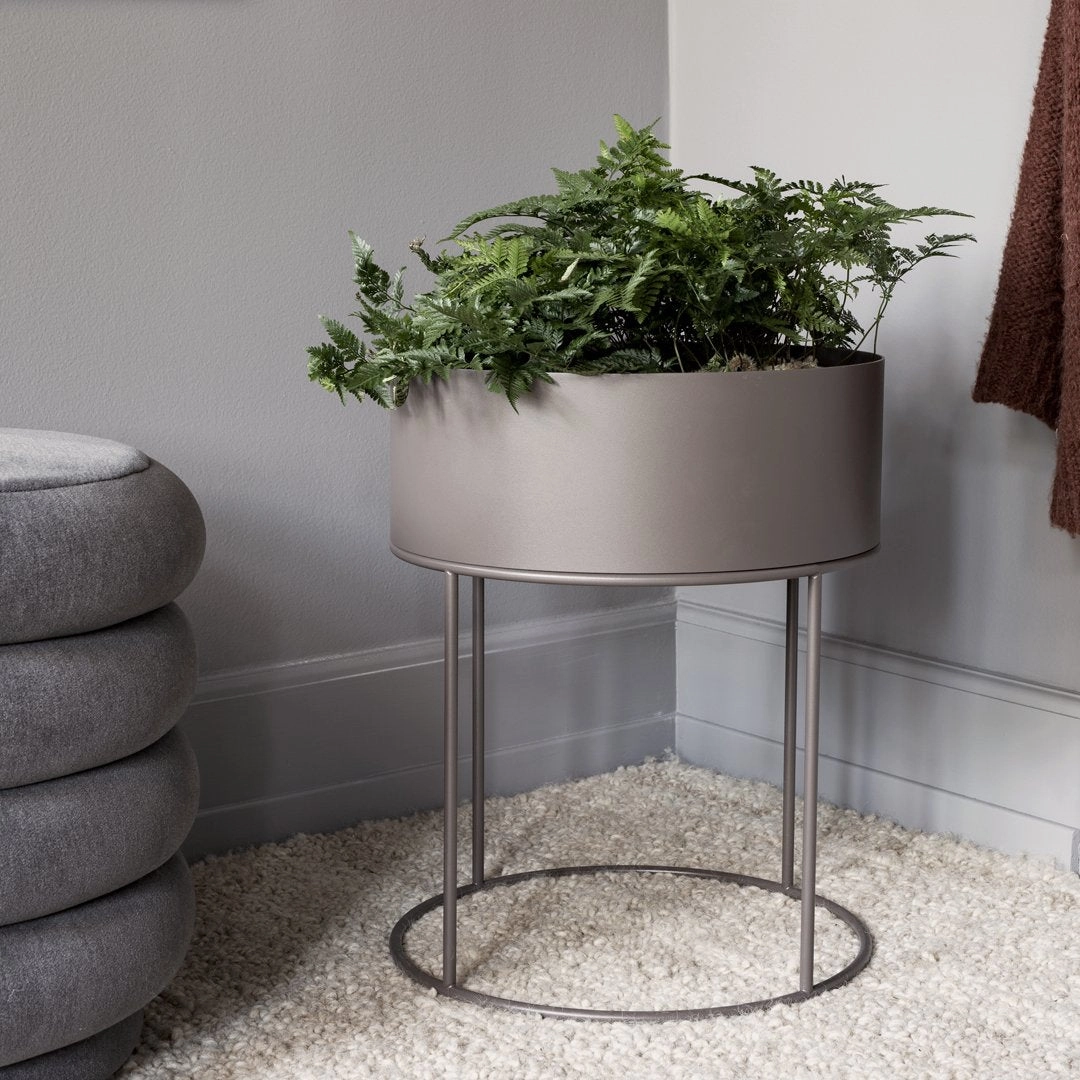 Plant Box - Round