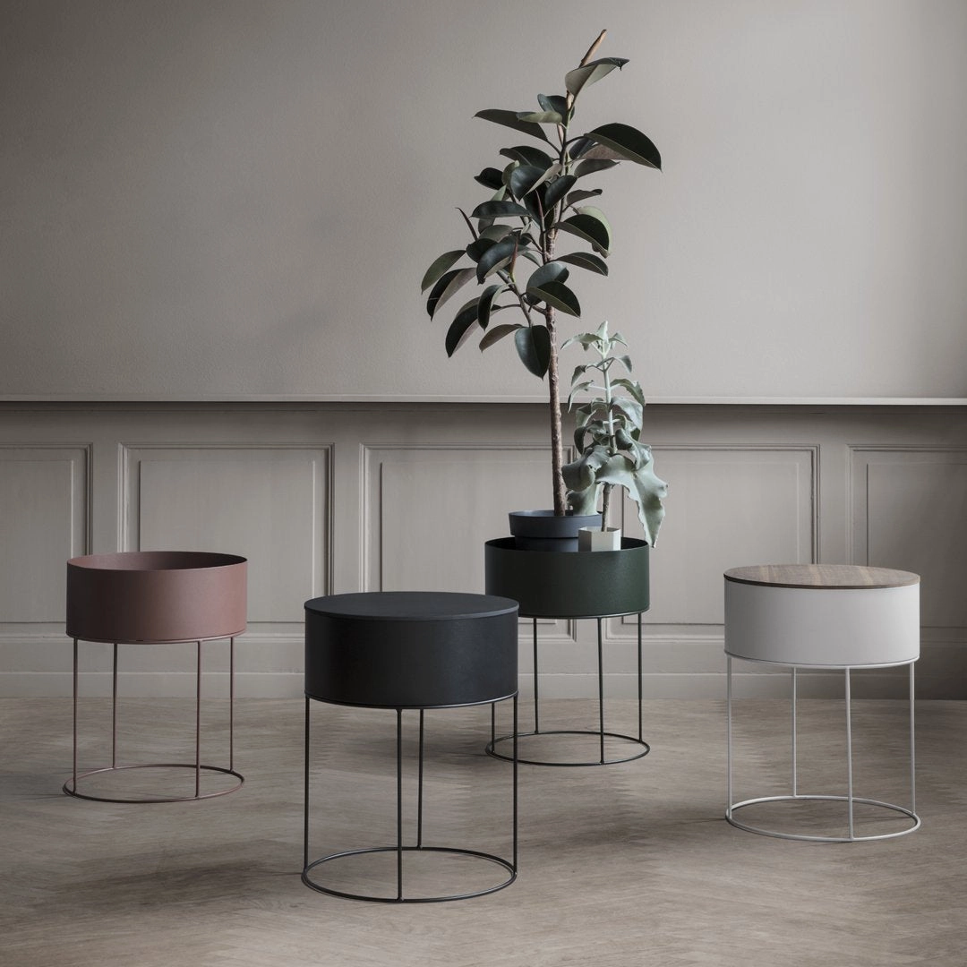 Plant Box - Round