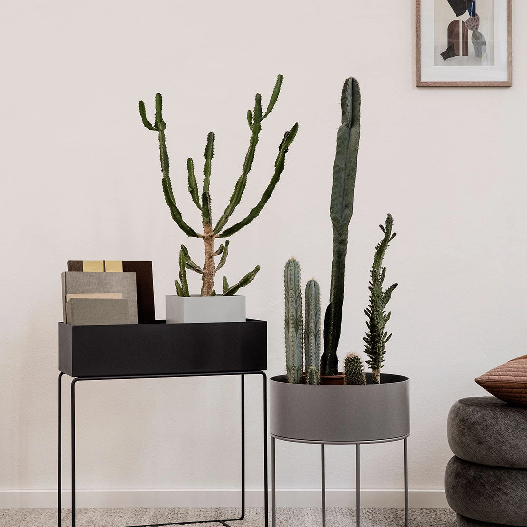 Plant Box