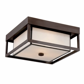 Powell Outdoor Ceiling LightWeatherproof outdoor lighting