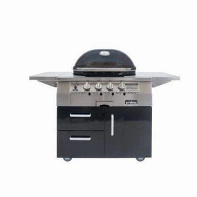 Primo All-In-One Oval G 420 Ceramic Gas Grill PGG420C (Cart-Mounted) large capacity charcoal BBQ grills