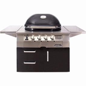 Primo All-In-One Oval G 420 Ceramic Gas Grill PGGXLC (Cart-Mounted) large capacity charcoal BBQ grills