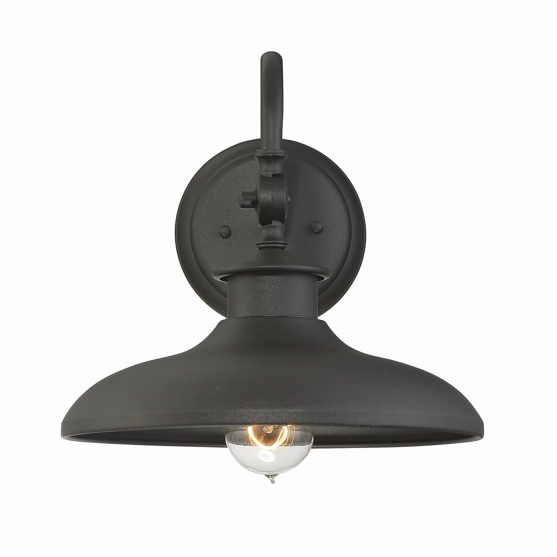 Raliegh Outdoor Wall Light