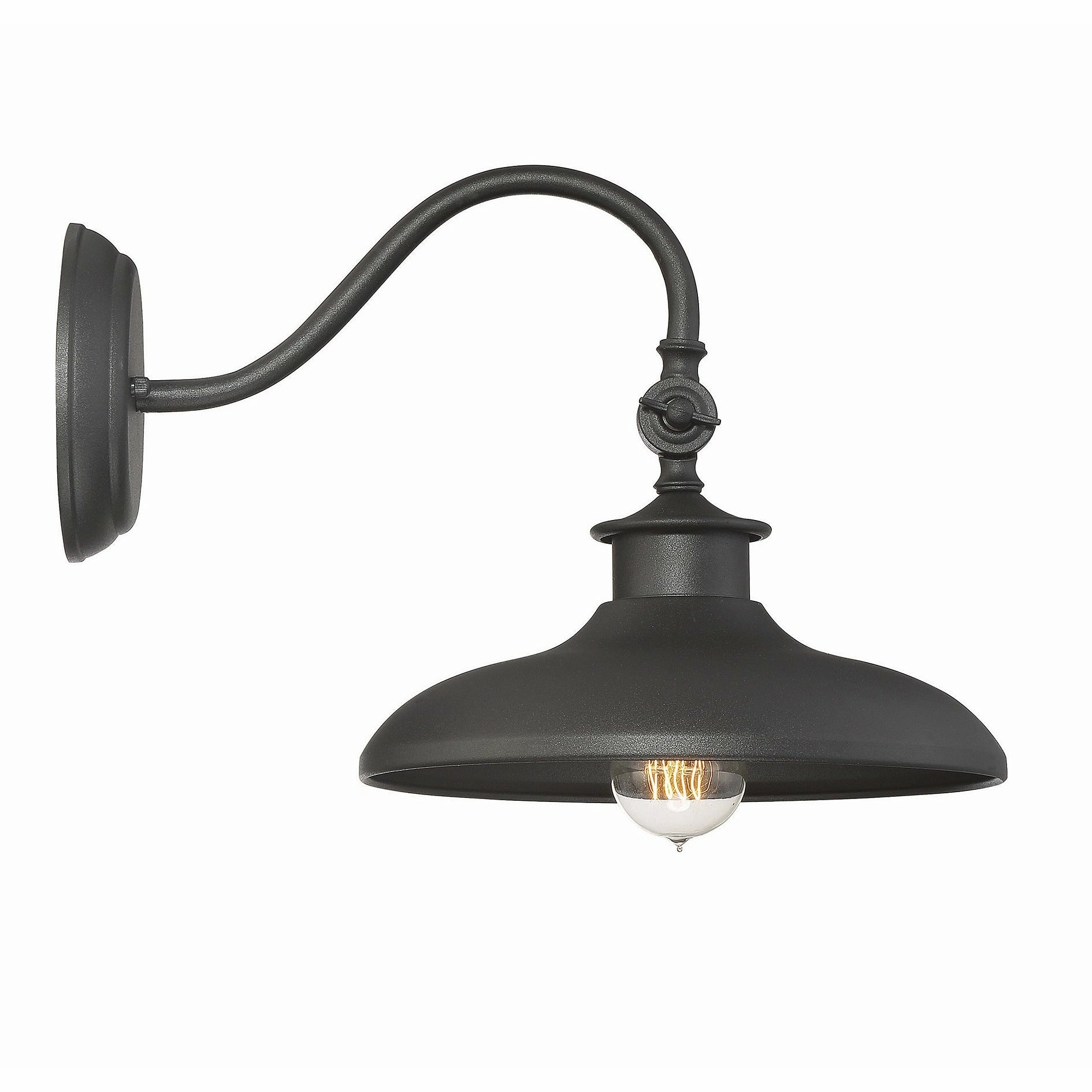 Raliegh Outdoor Wall Light