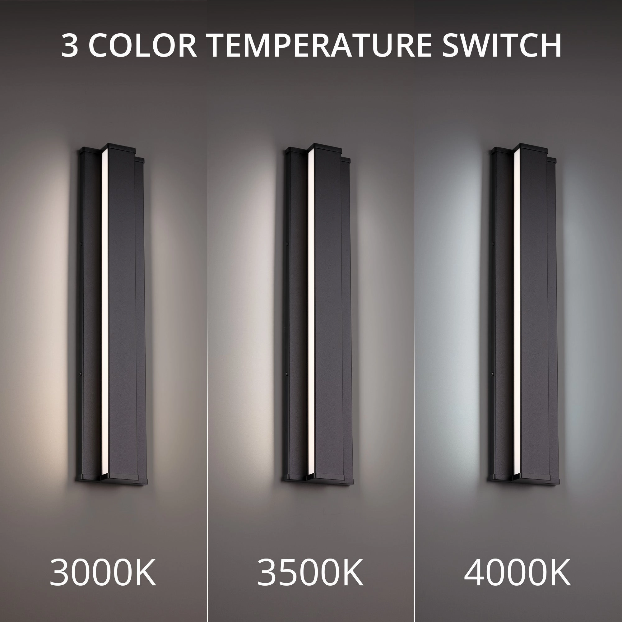 Revels 24" LED Outdoor Wall Light