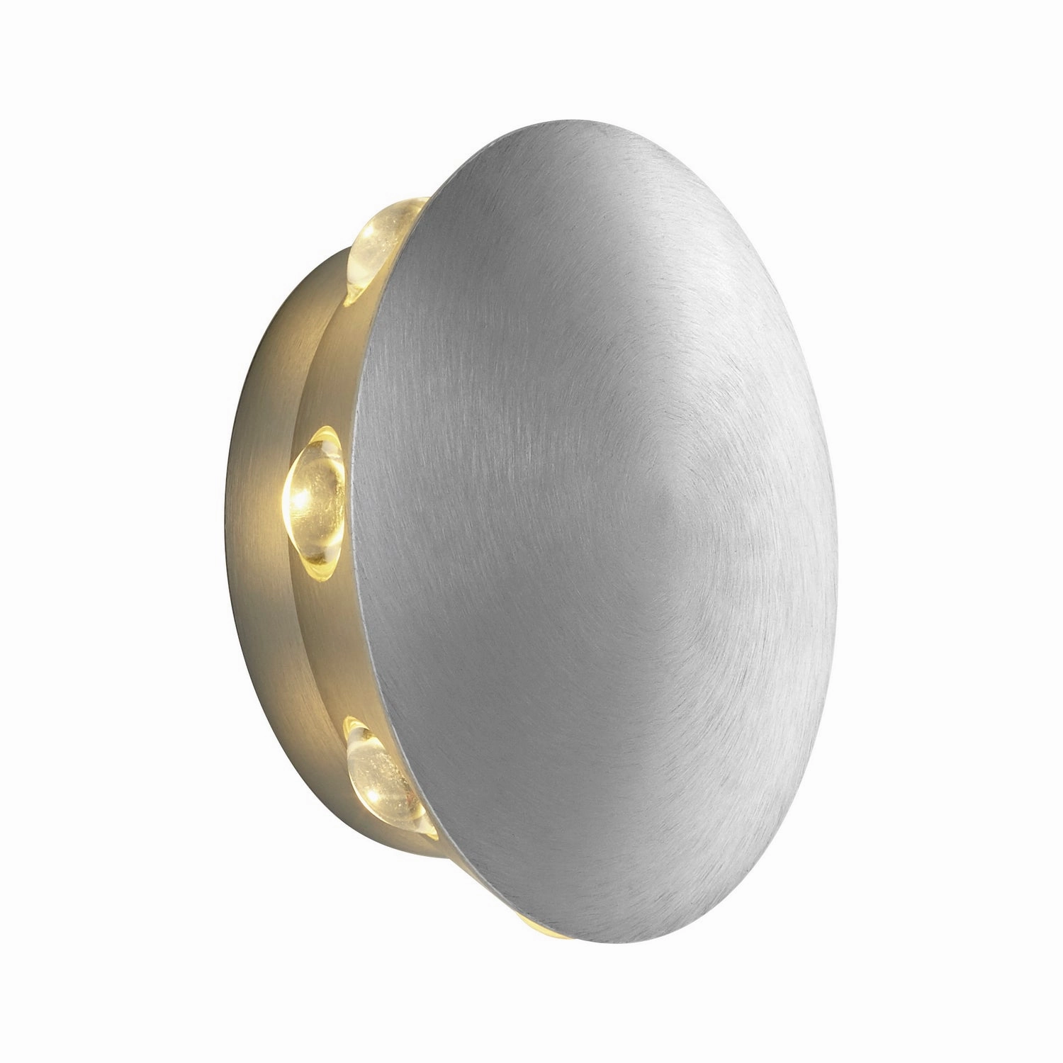 Rickie LED Outdoor Lantern Brushed Aluminum
