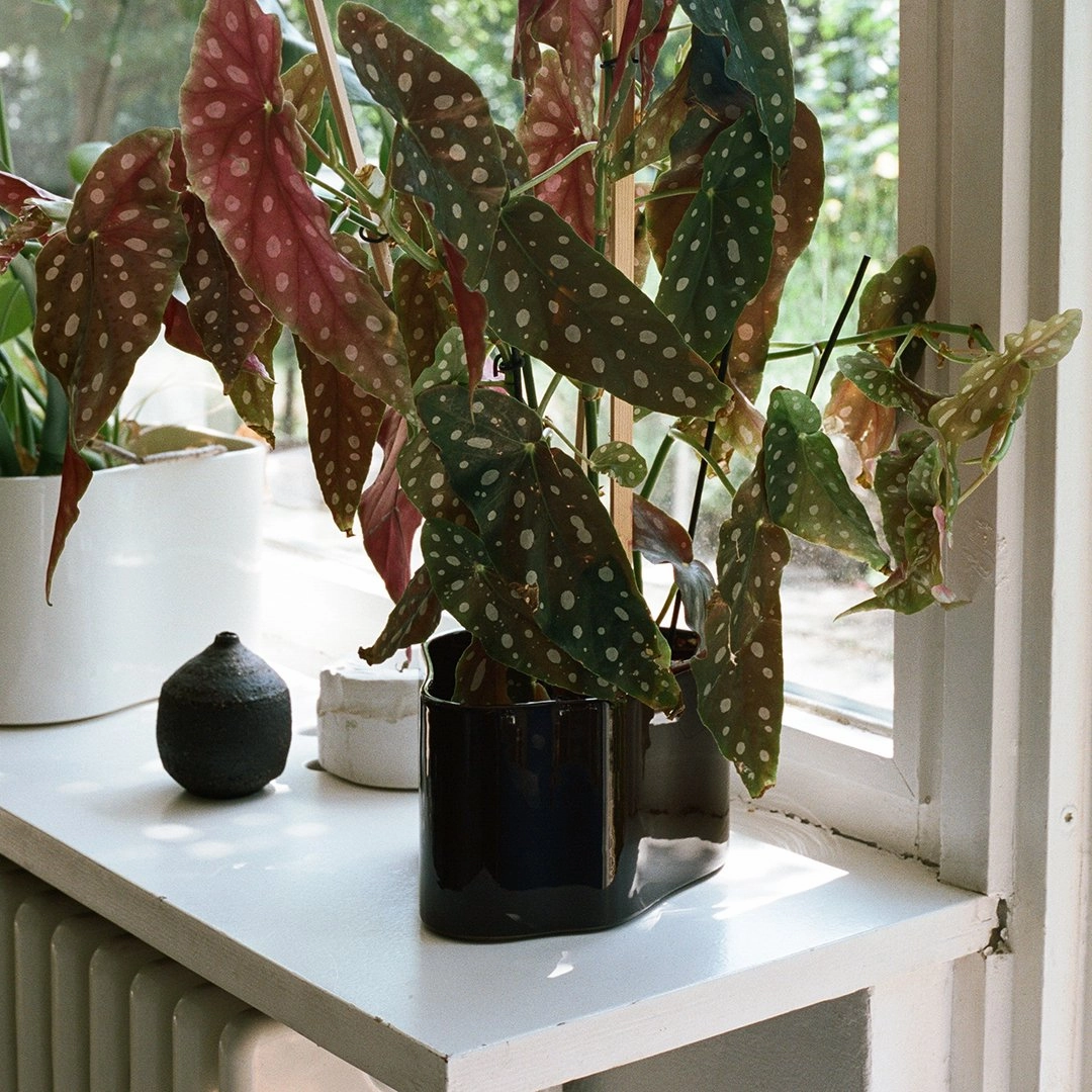 Riihitie Plant Pot - Shape A