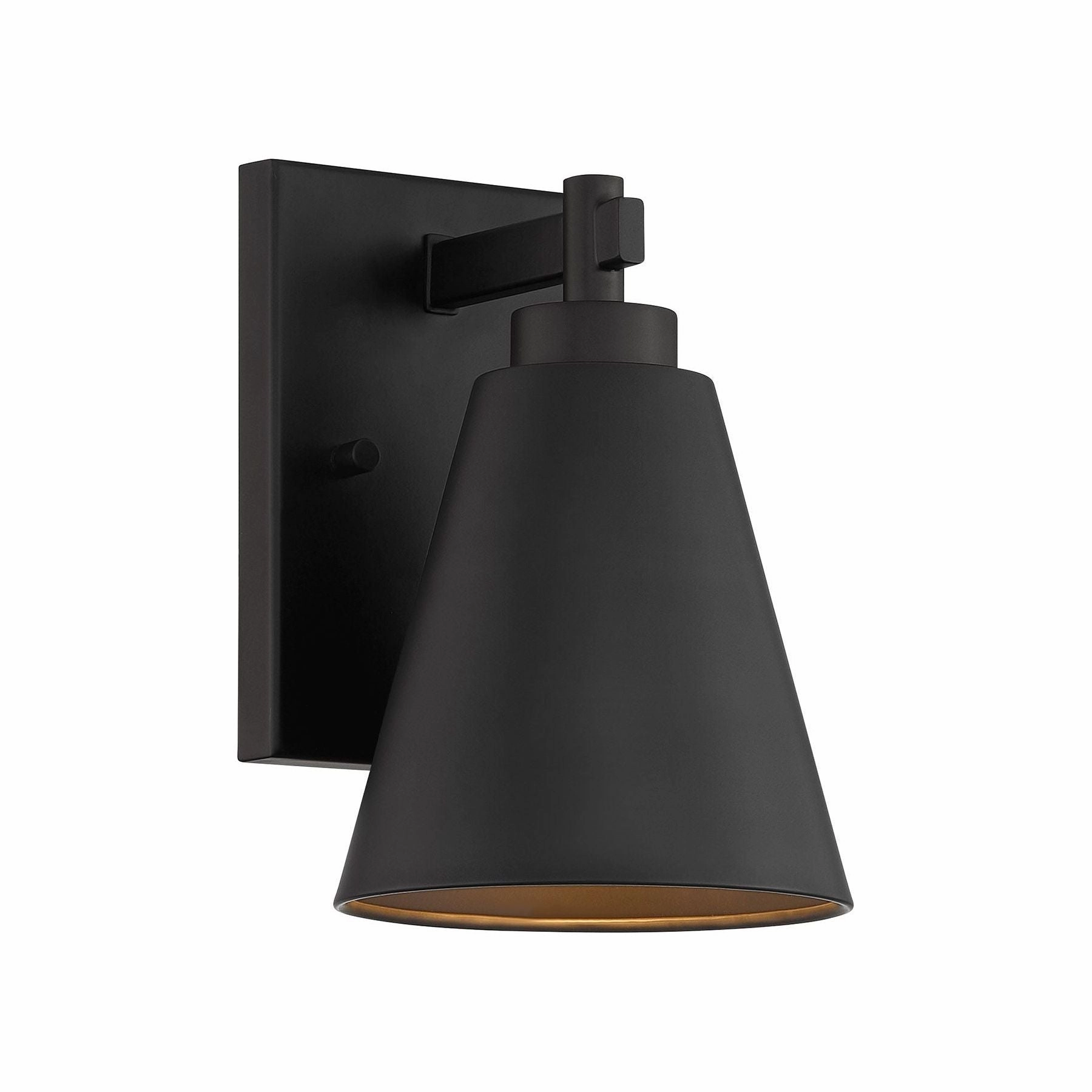 Ryder 1-Light Outdoor Wall Lantern