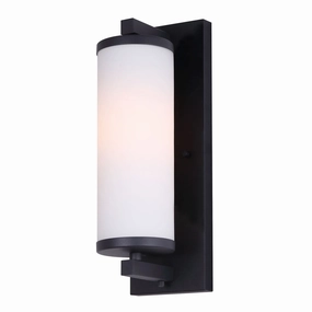 Seager 1-Light Outdoor Wall LightWeatherproof outdoor lighting