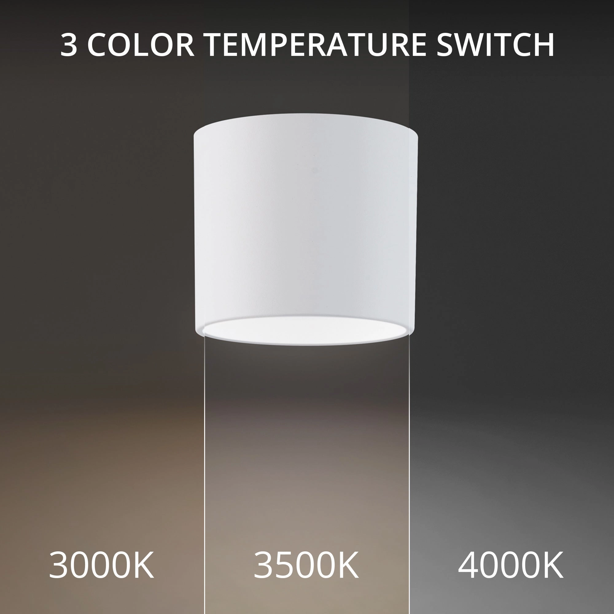 Squat 5" LED Outdoor Flush Mount 3-CCT