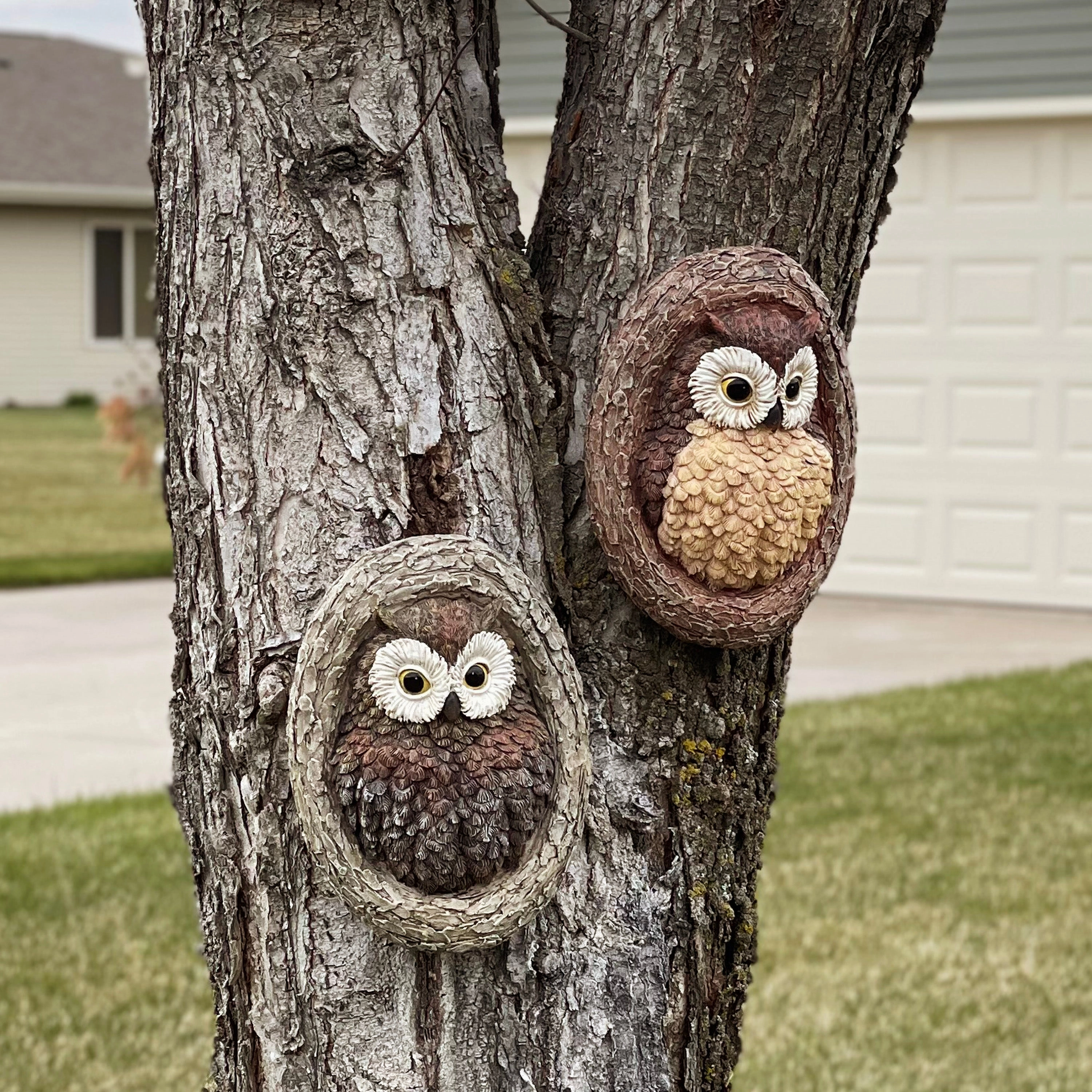 Sunnydaze Winifred and Wesley the Wise Old Owls Tree Hugger