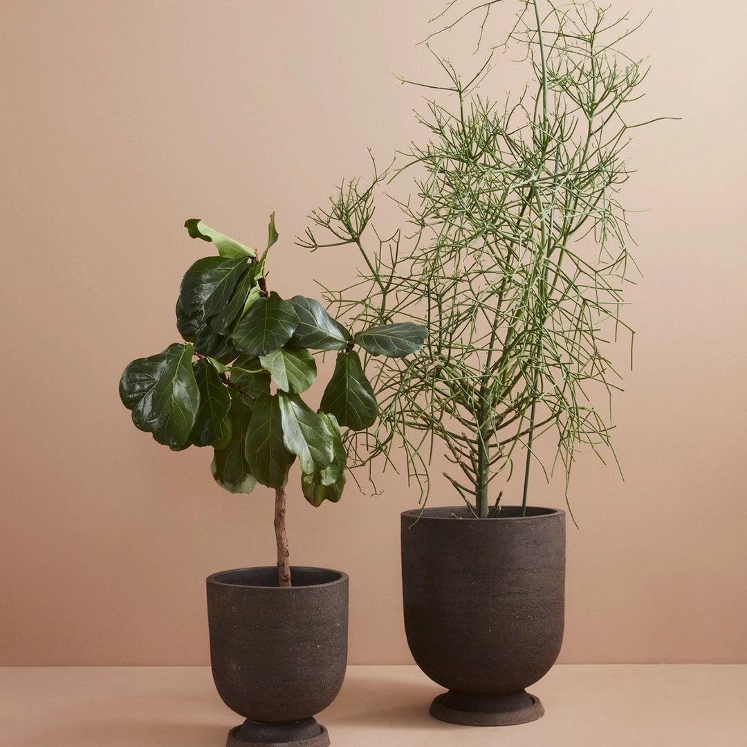 Terra Flowerpot (Order Quantity: 4)