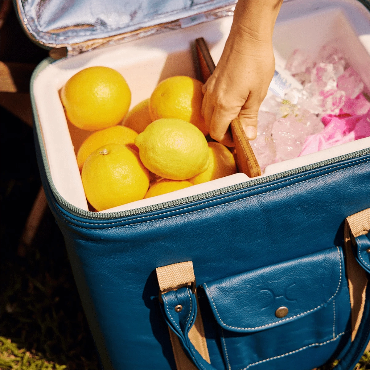 Thandana Leather 25L Box Cooler Clearance Steal Today