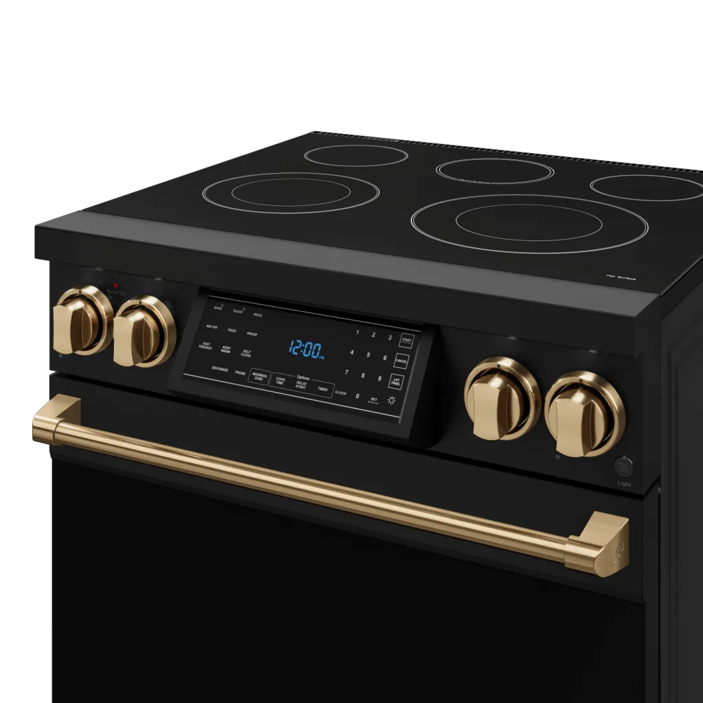 Thor Kitchen RSE30BBRZ 30 Inch Professional Electric Range With Tilt Panel Touch Control In Black/Bronze Gordon Ramsay Series - Rse30B-Brz
