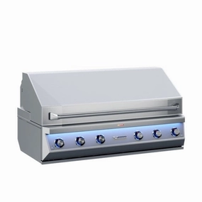 Twin Eagles Eagle One 54-Inch 4-Burner Built-In Gas Grill with Sear Zone & Two Infrared Rotisserie Burners large capacity charcoal BBQ grills