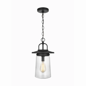Tybee 1-Light Outdoor Pendant (with Bulb)Weatherproof outdoor lighting