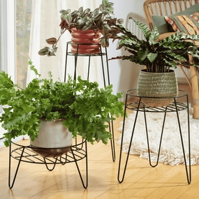 Plant Containers