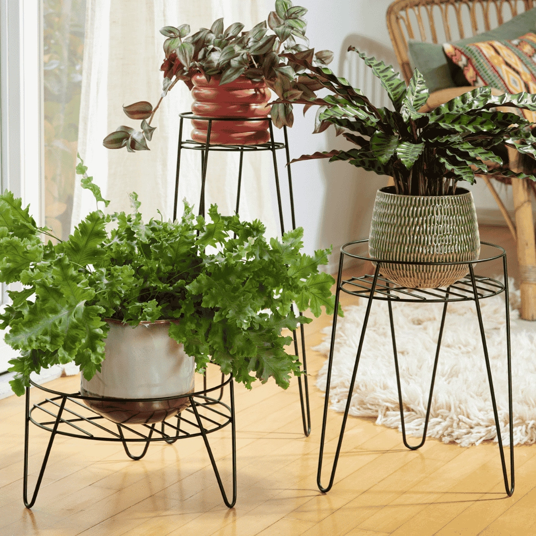 Wagner Plant Stand Black hanging garden planters for small spaces