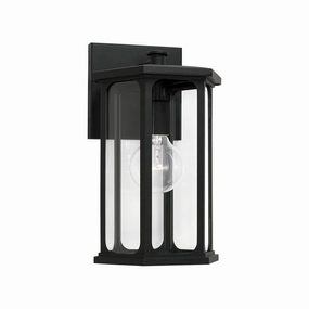 Walton 1-Light Outdoor Wall LanternWeatherproof outdoor lighting
