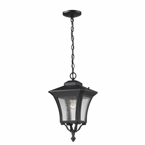 Waterdown Outdoor PendantWeatherproof outdoor lighting