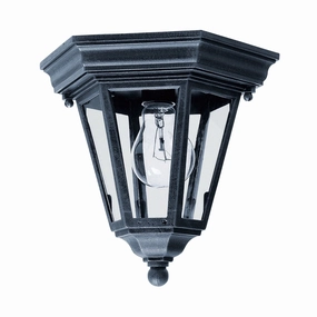 Westlake Outdoor Ceiling LightWeatherproof outdoor lighting