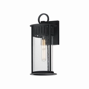 Windsor 1-Light Outdoor Wall SconceWeatherproof outdoor lighting