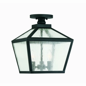 Woodstock Outdoor Ceiling LightWeatherproof outdoor lighting