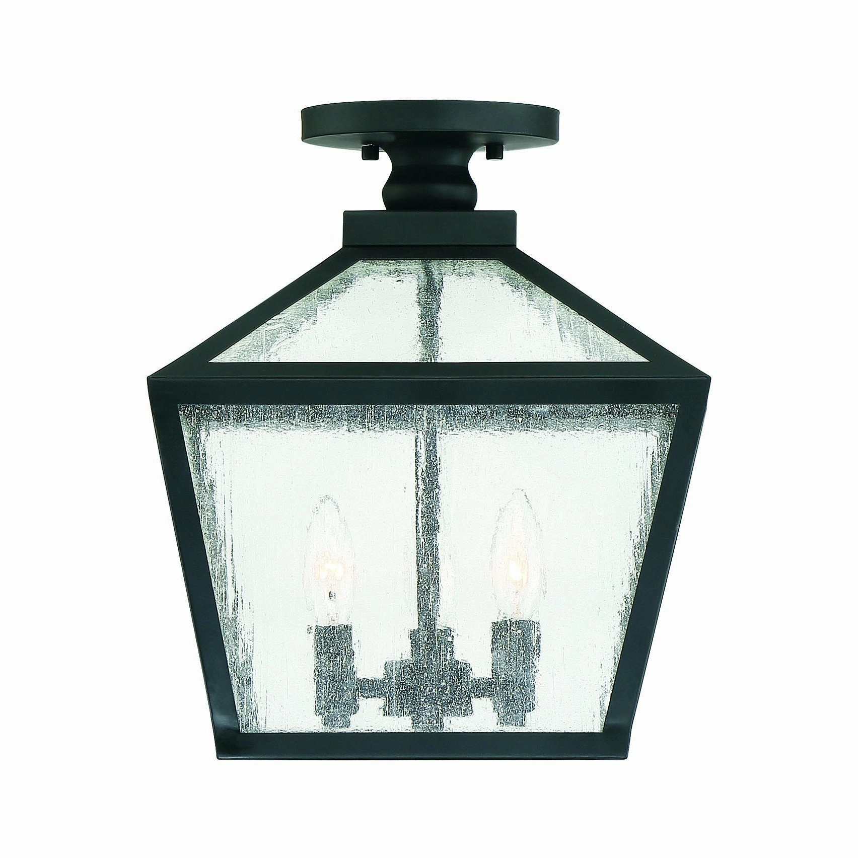 Woodstock Outdoor Ceiling Light