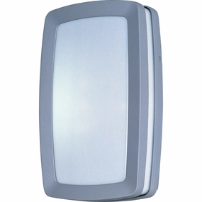 Zenith EE 2-Light Wall MountWeatherproof outdoor lighting